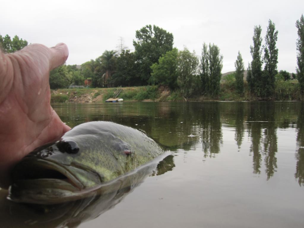 Bonnievale River Lodge Екстериор снимка